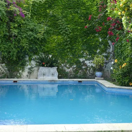 Palacio Del Virrey Laserna Homestay Jerez de la Frontera