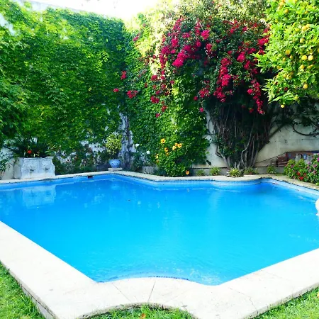 Palacio Del Virrey Laserna 헤레스